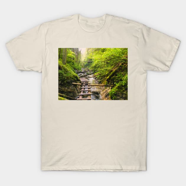 National Park T-Shirt by Kate-P-